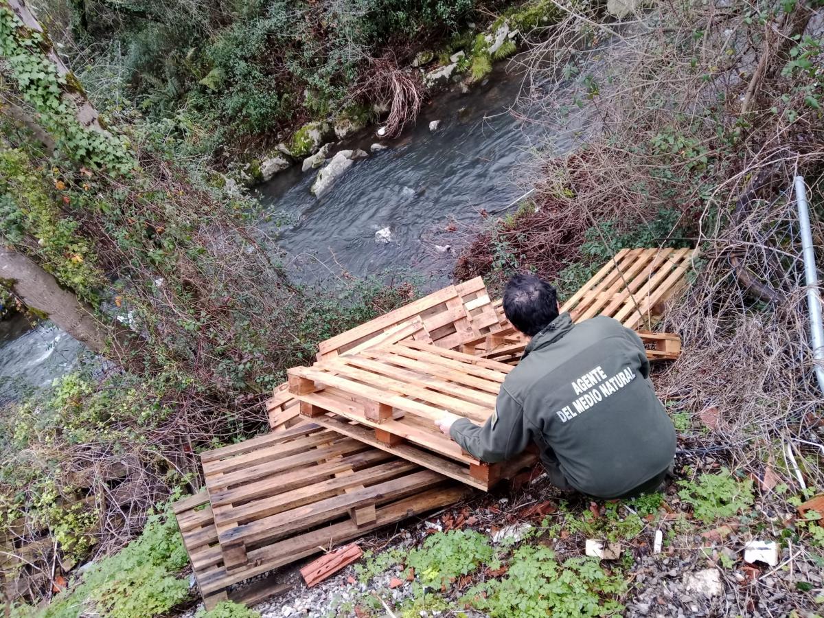 Agentes del Medio Natural
